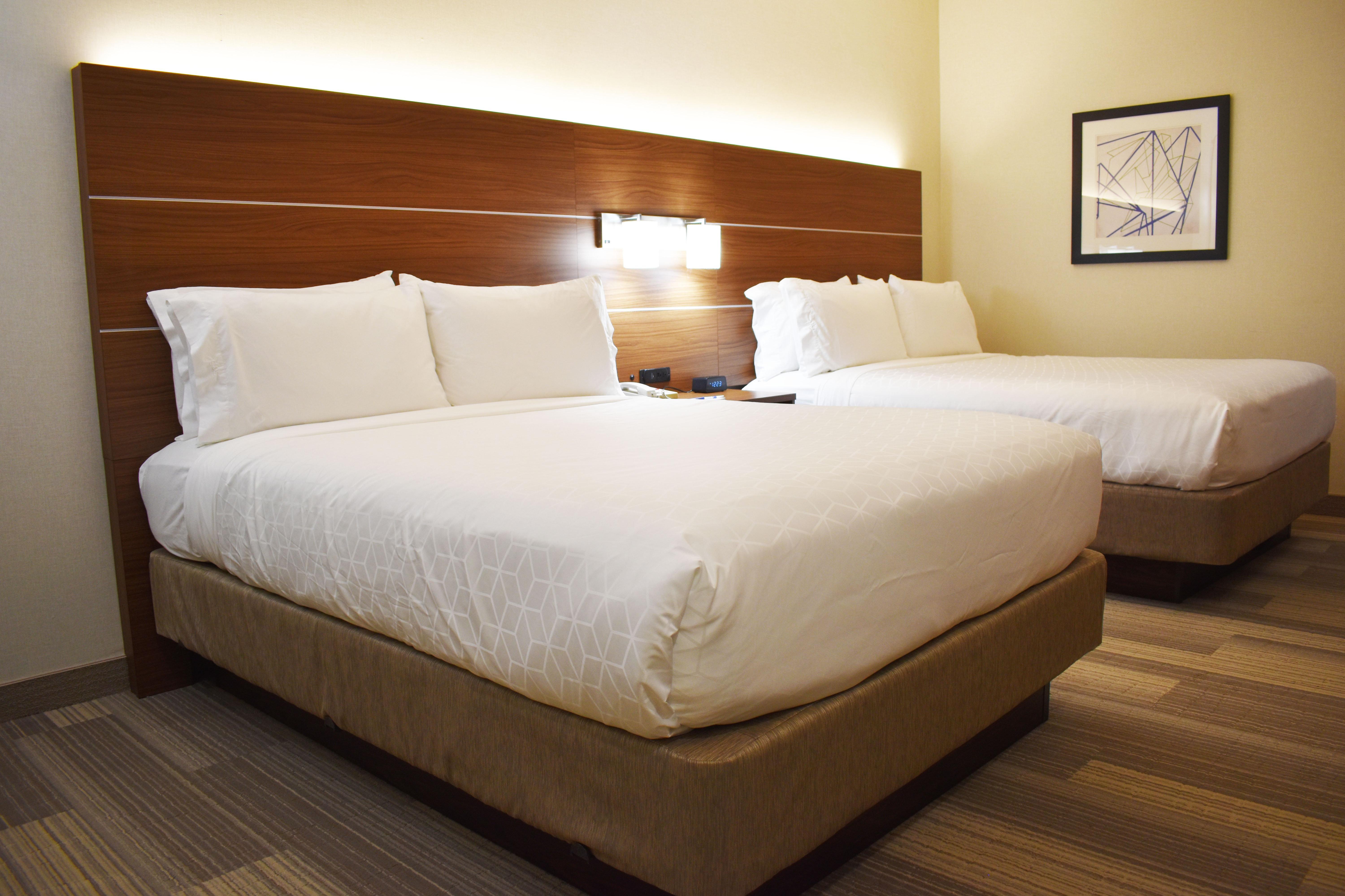 Holiday Inn Express Hotel & Suites Albany By Ihg Zewnętrze zdjęcie